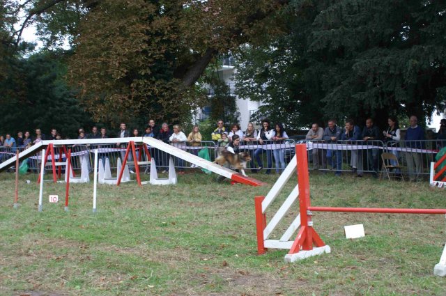 foire-haricots 2011-09-17et18